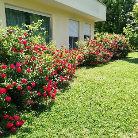 B&B Terra Del Sole Valmontone Exteriér fotografie
