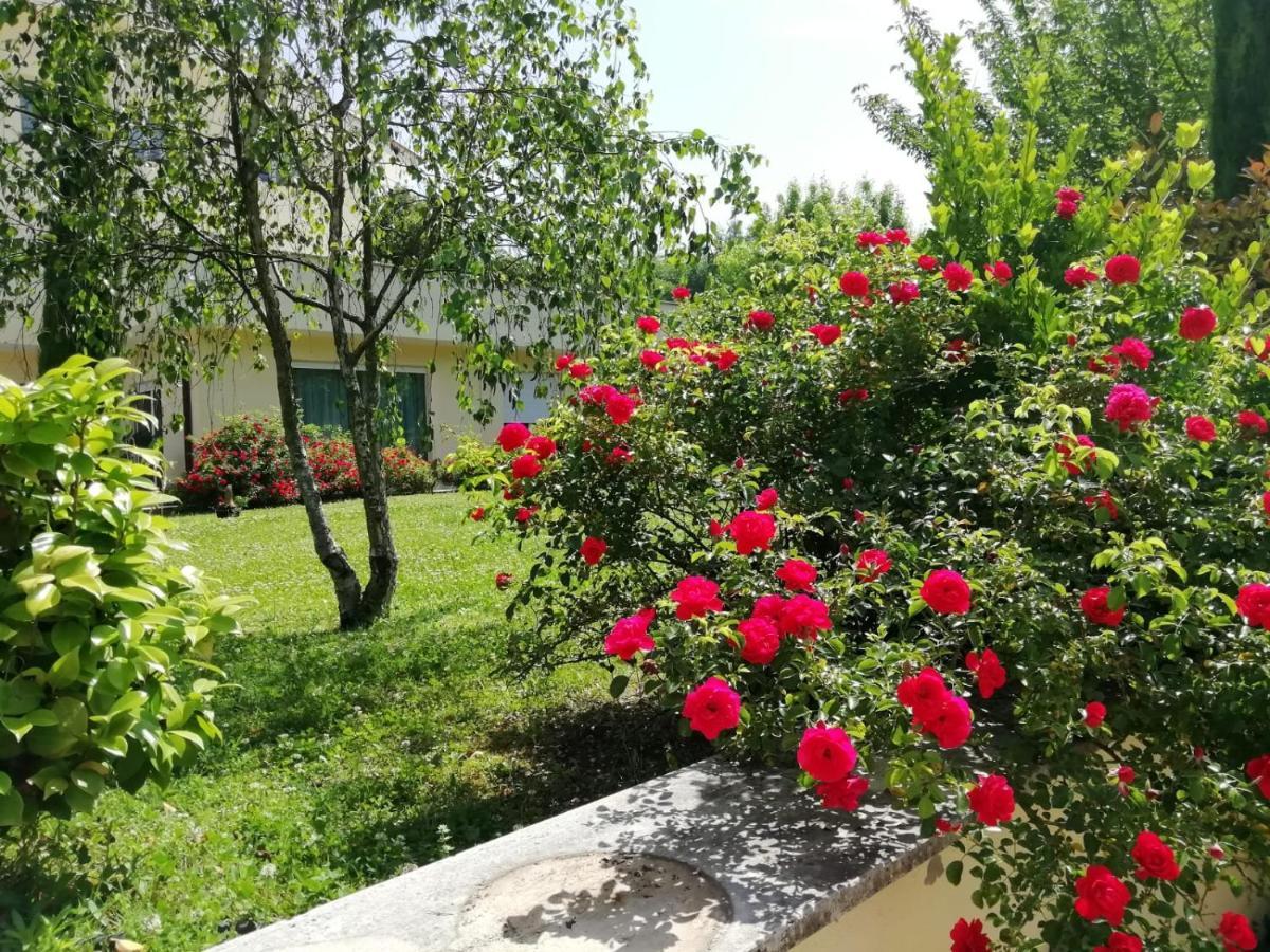 B&B Terra Del Sole Valmontone Exteriér fotografie